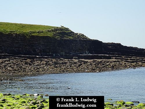 Streedagh Strand